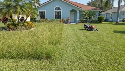 Before and after lawn mowing showing overgrown and freshly cut grass by Chop Chop Landscaping Cape Coral FL